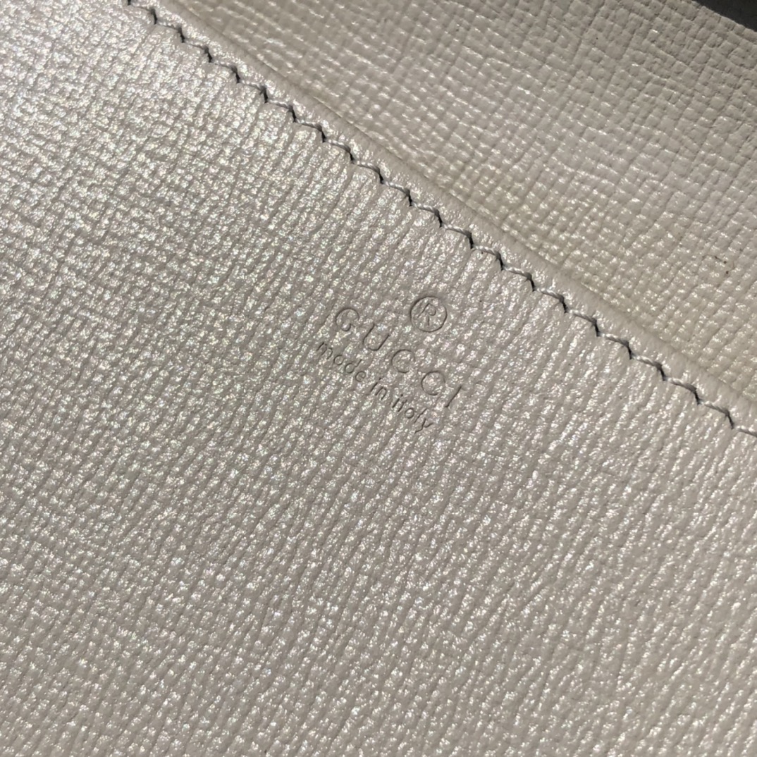 Gucci05680898advanced bag