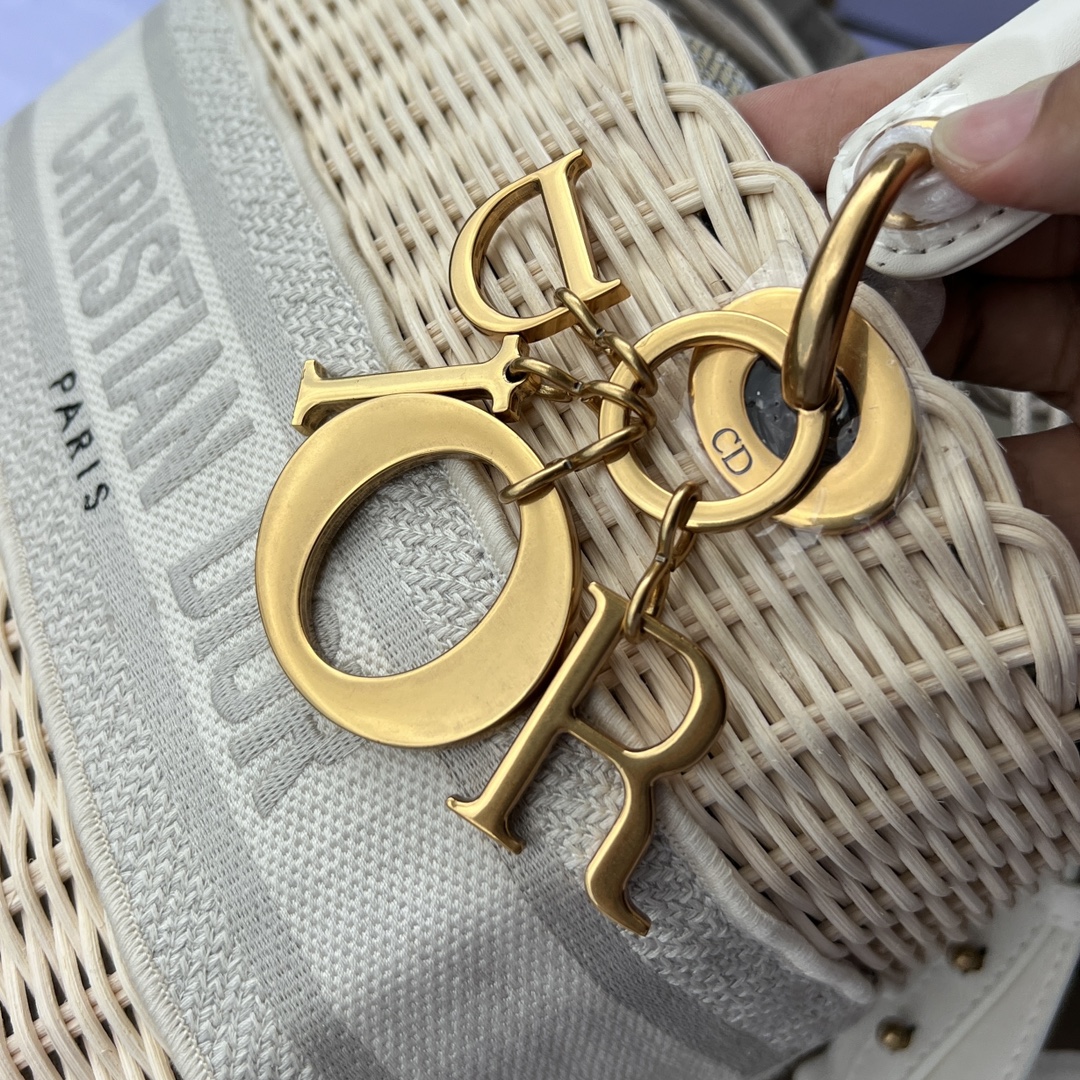 Dior091300898advanced bag