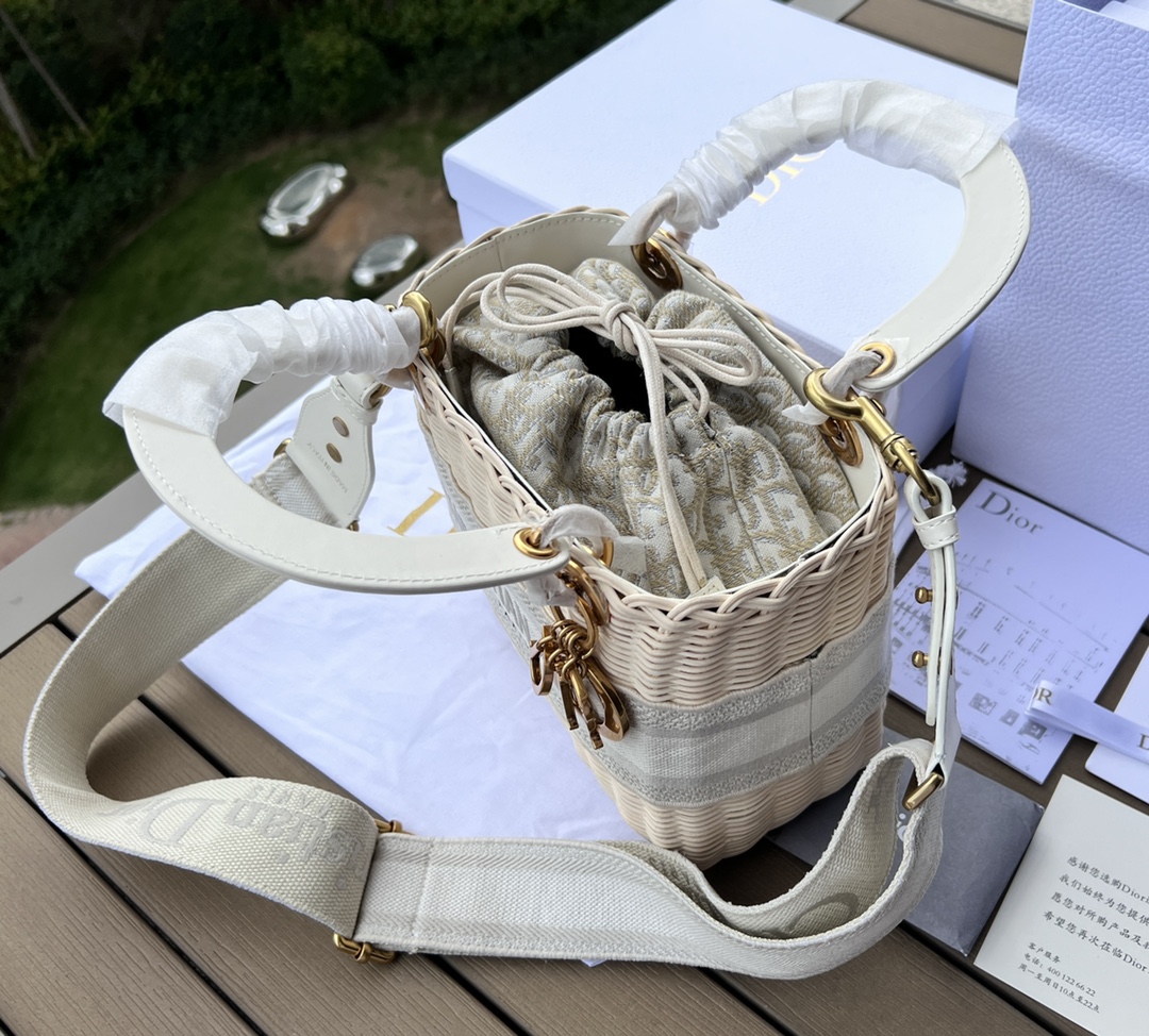 Dior091300898advanced bag