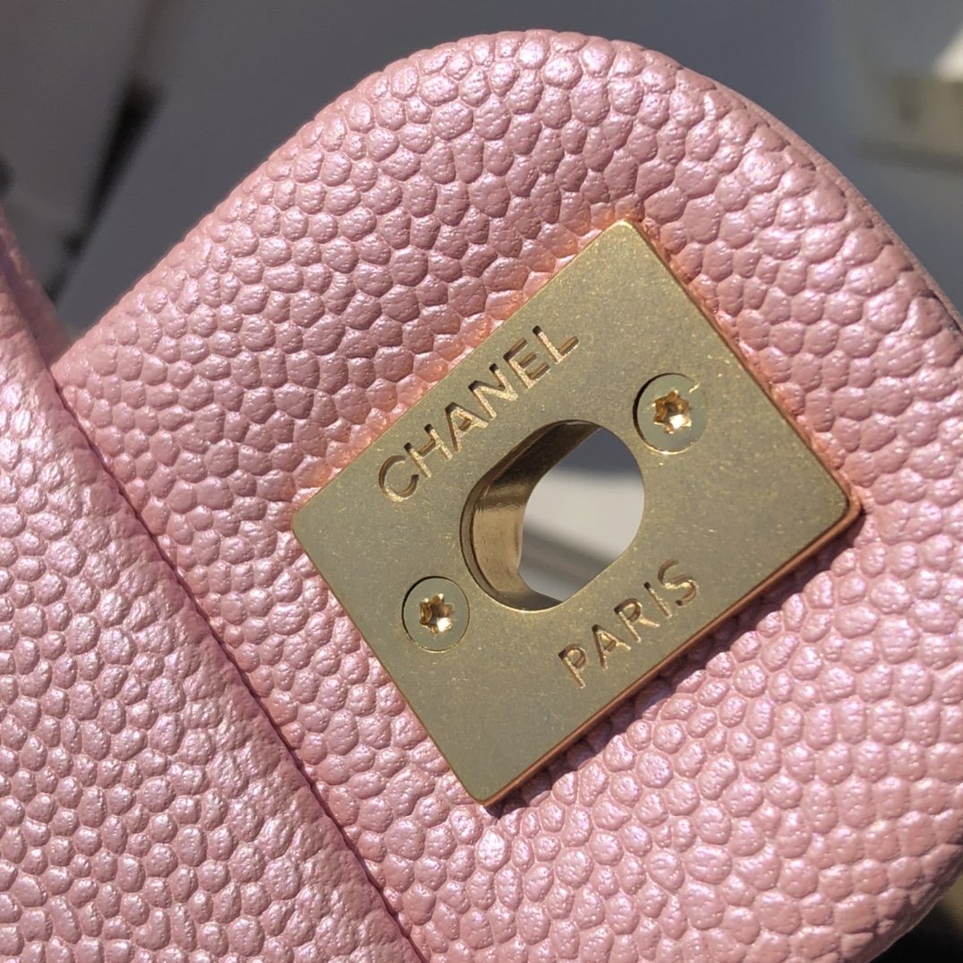 Chanel 165159 bag