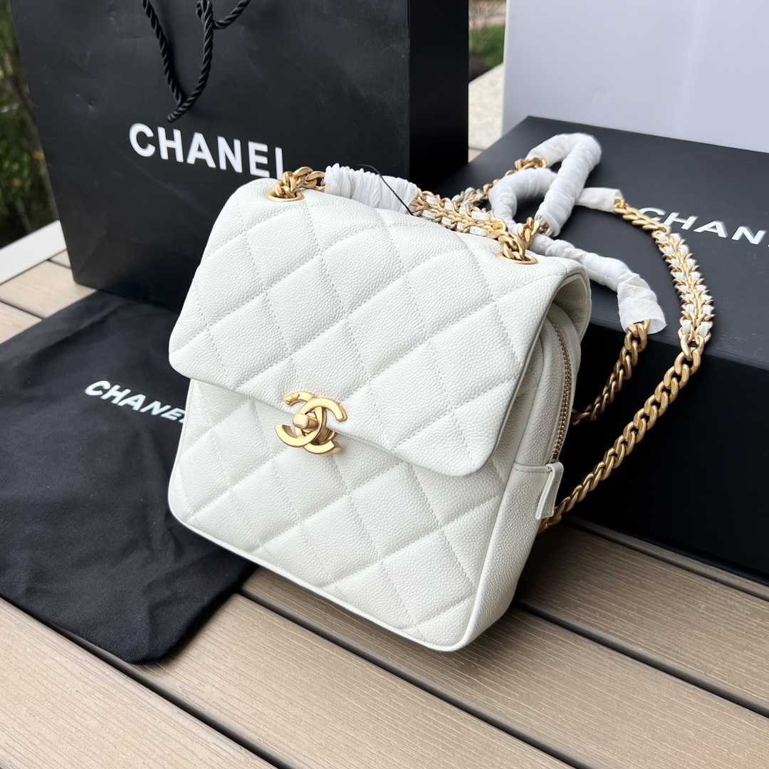 Chanel 165598 Advanced Bag