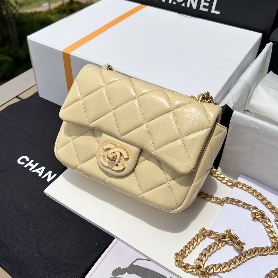 Chanel 165568 Advanced Bag
