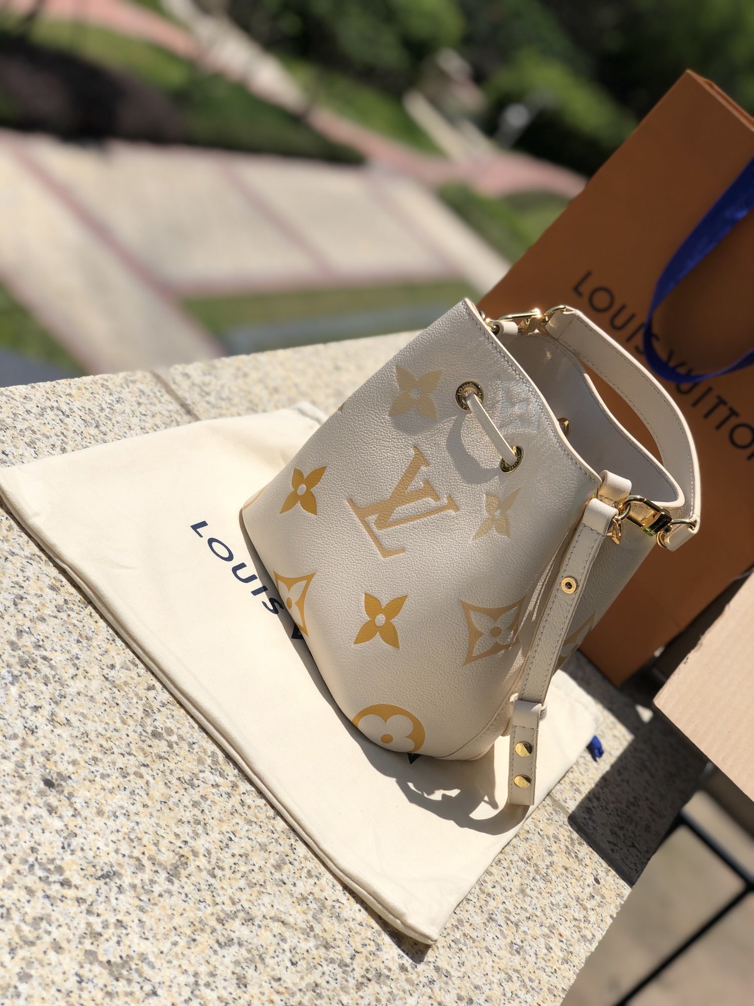 LV 163957 bag
