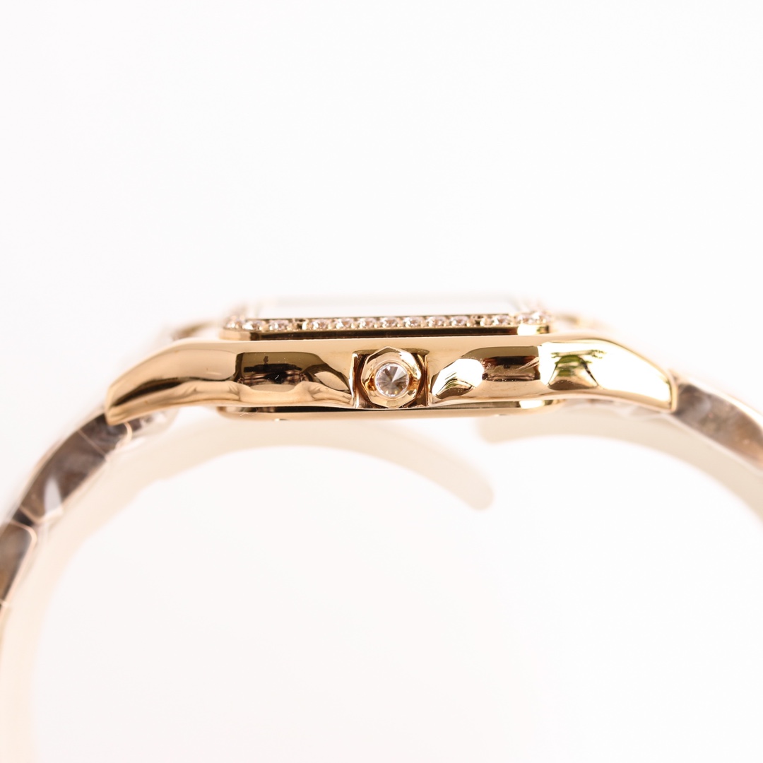 Cartier cheetah Panthère de Cartier.