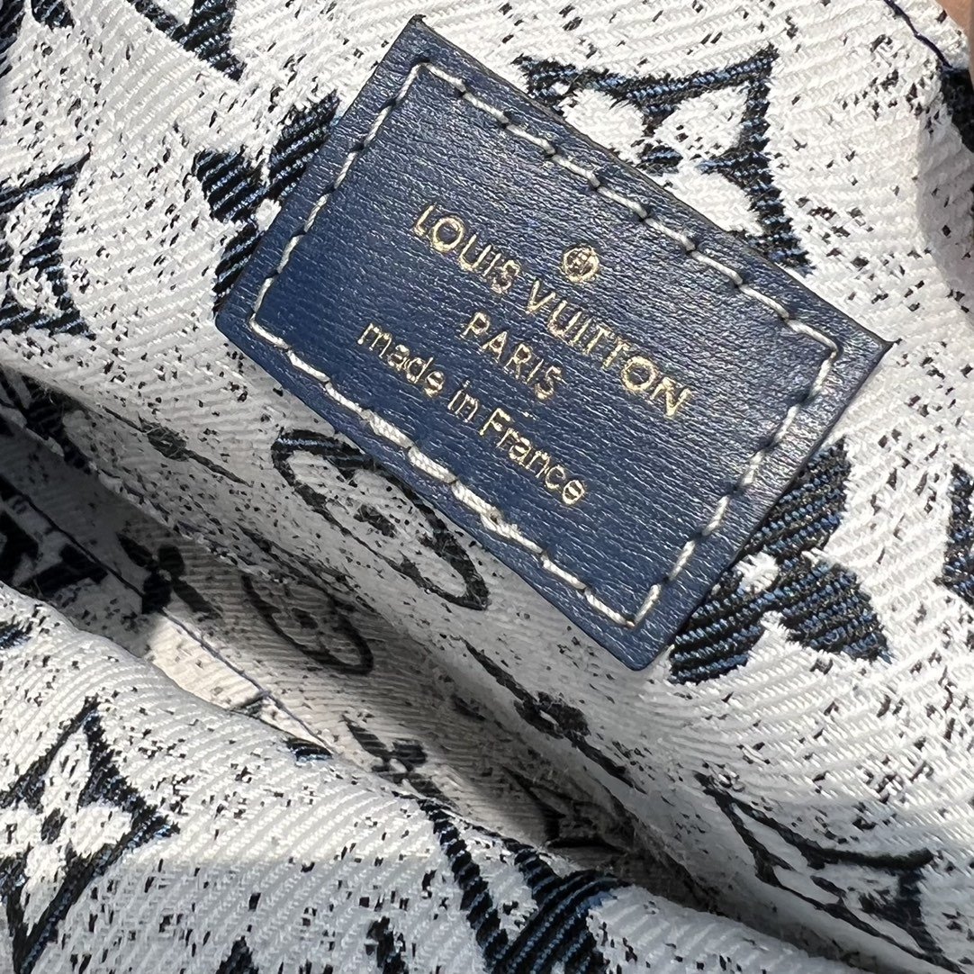LV 164169 bag