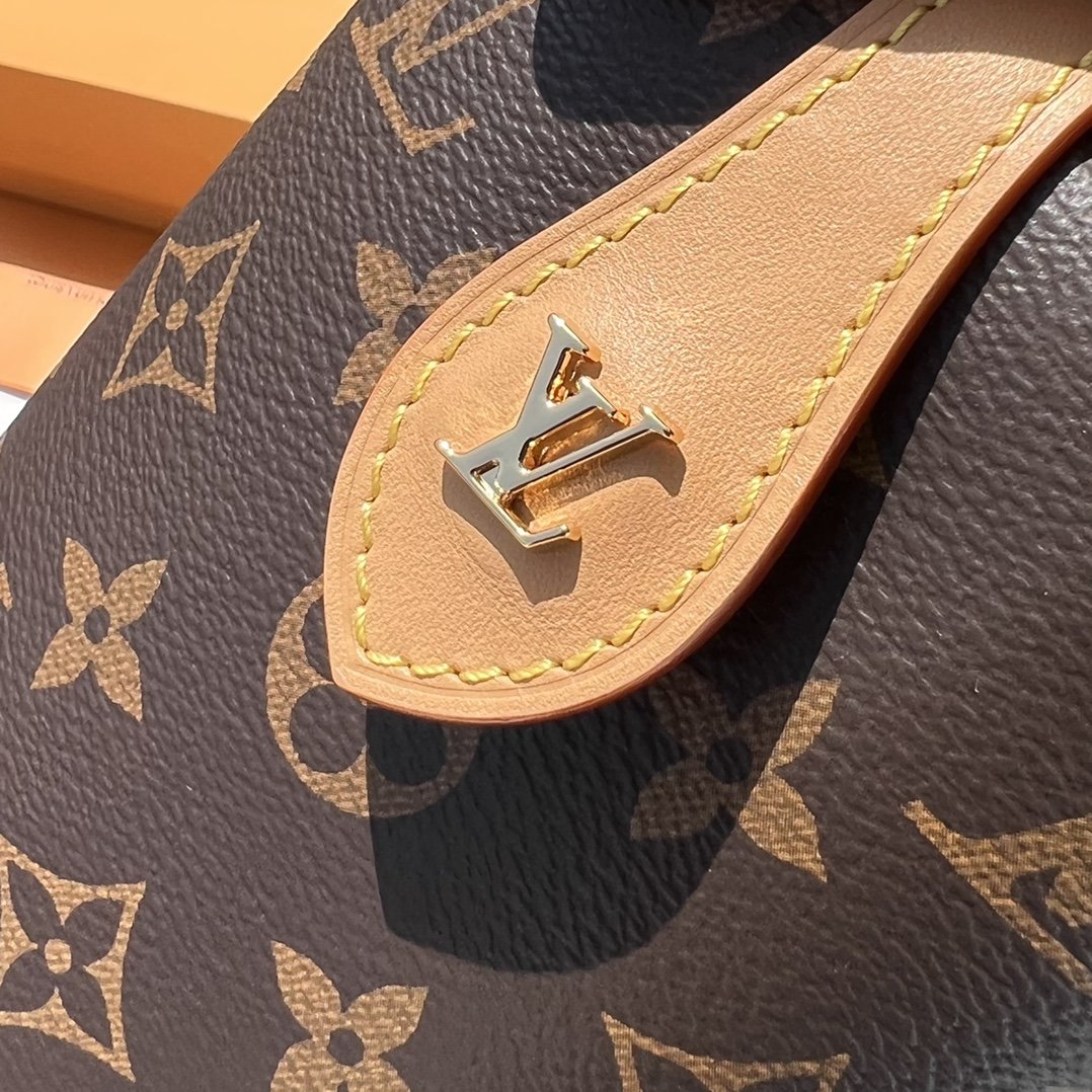 LV163768 bag