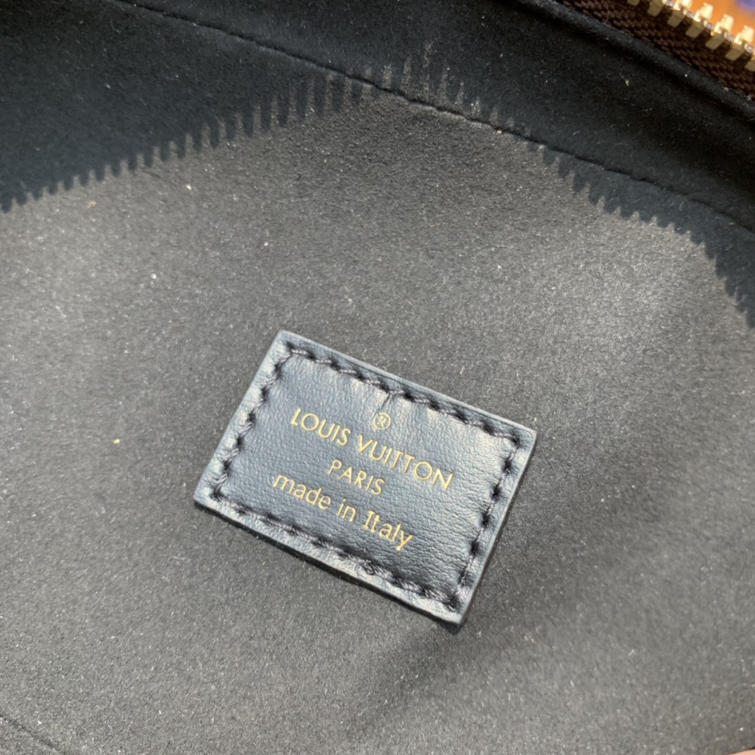 LV164572 bag