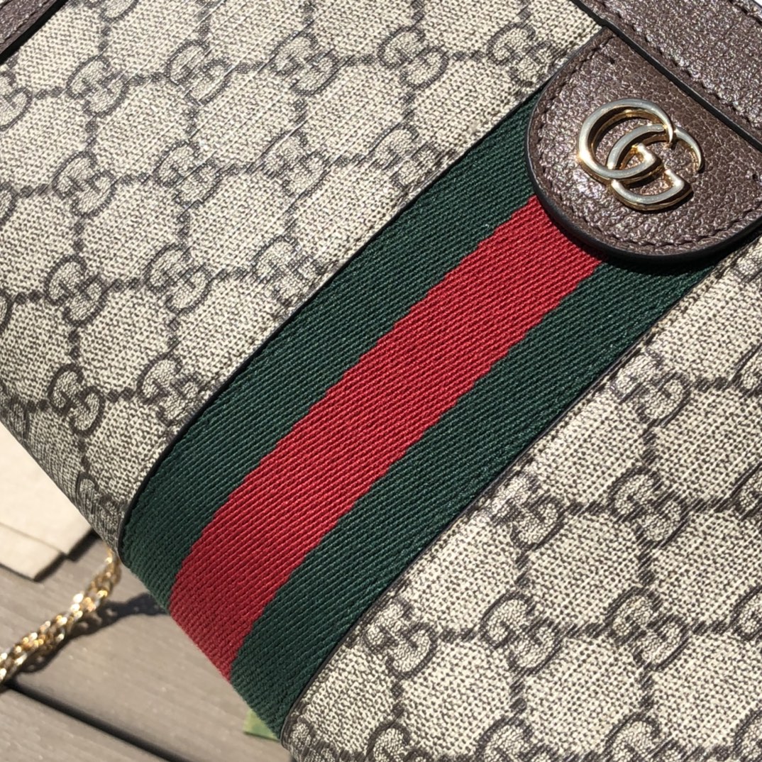 Gucci06950898advanced bag