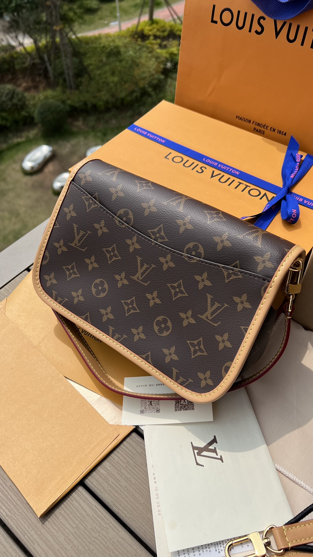 LV165032 bag