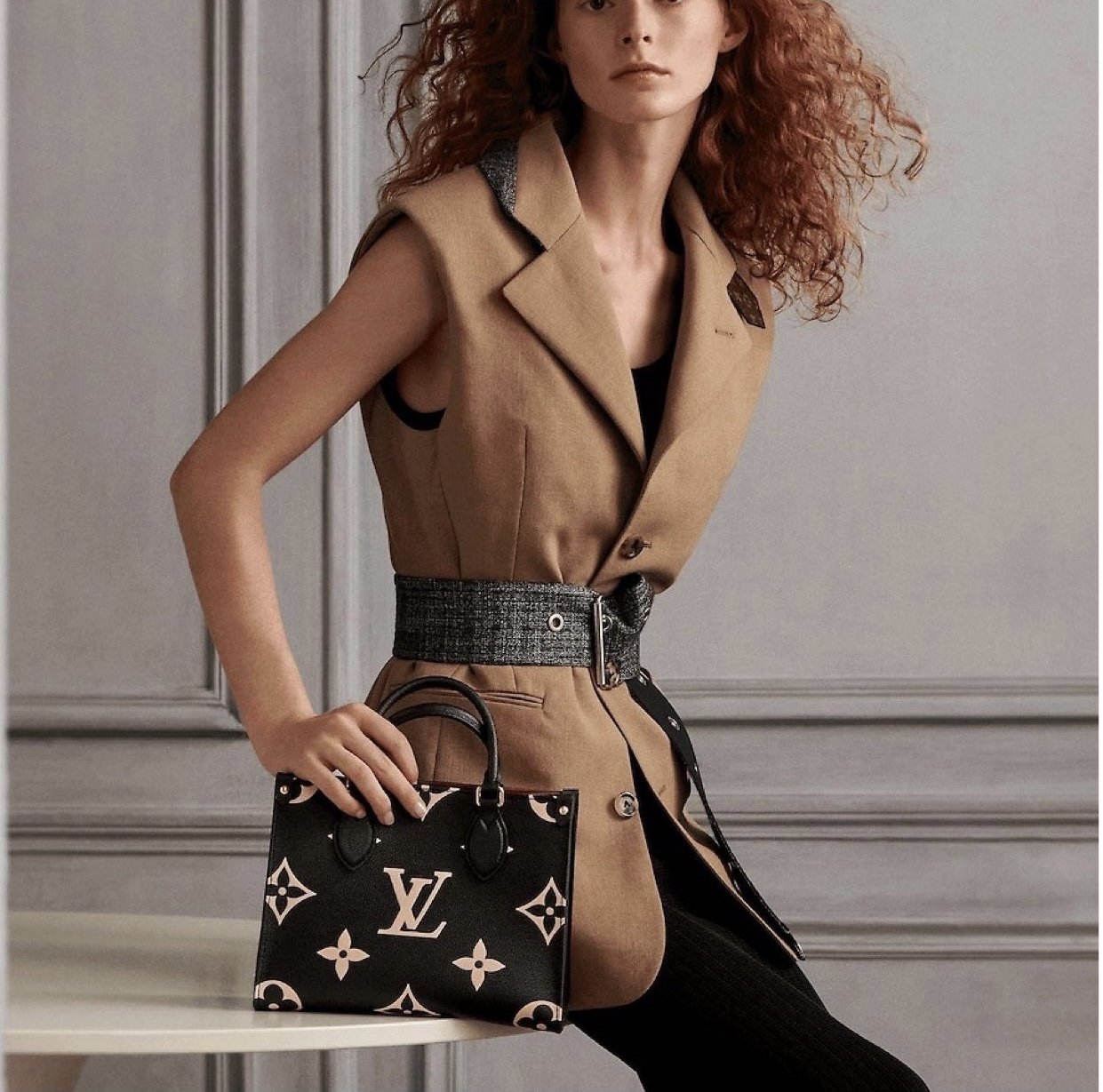 LV 164127 bag style