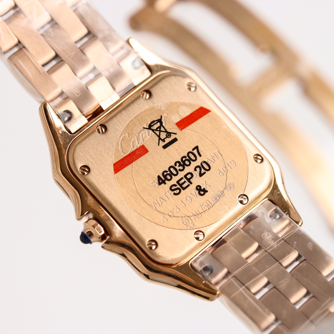 Cartier cheetah Panthère de Cartier.