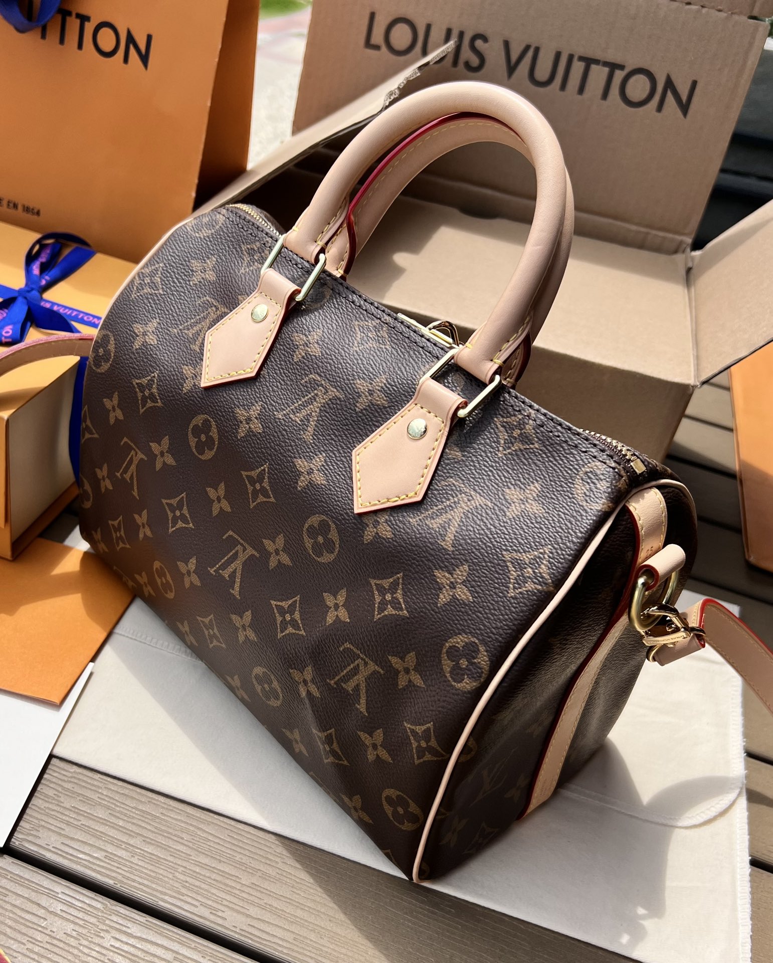 LV163479 bag