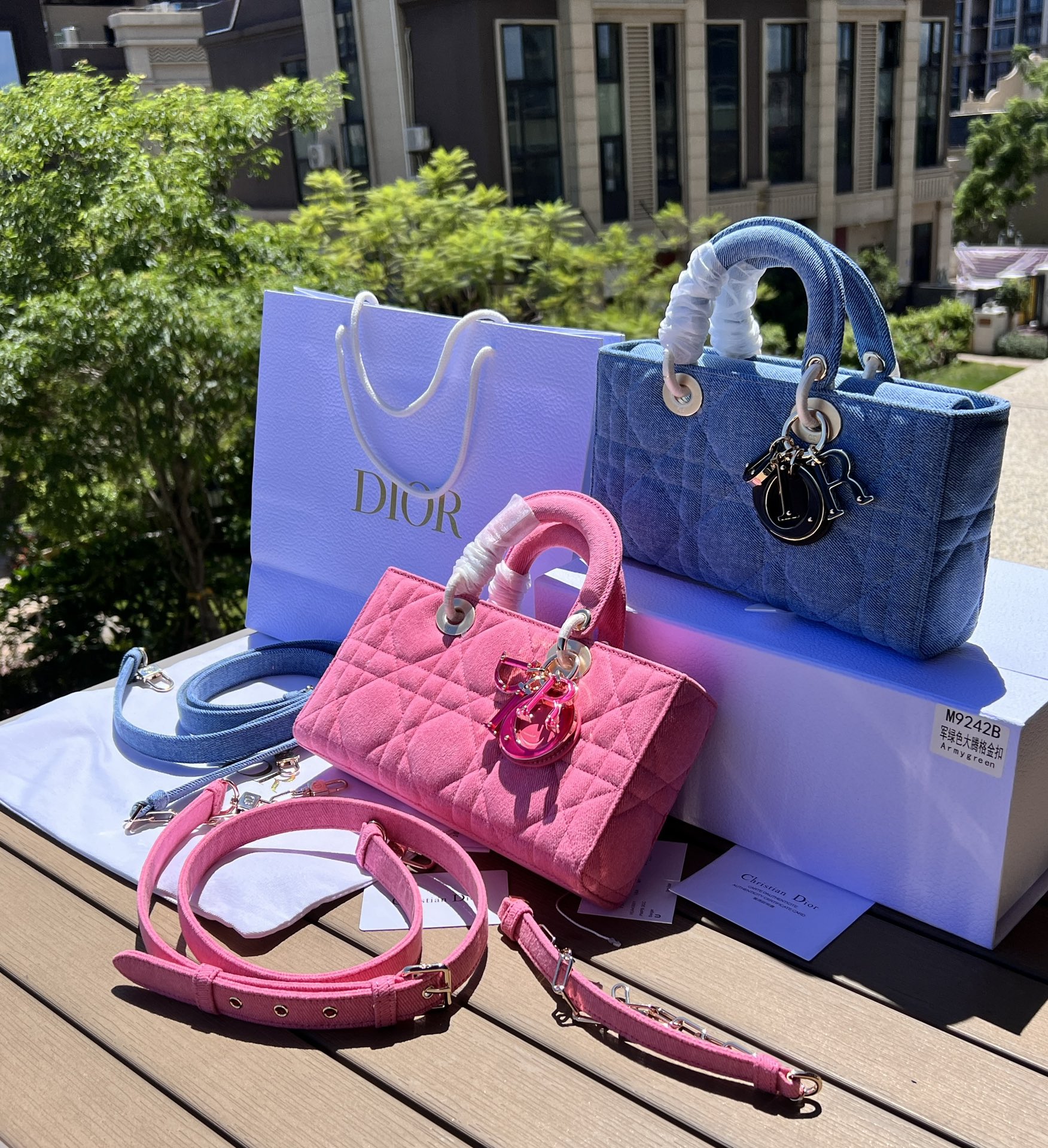 Dior581250898advanced bag