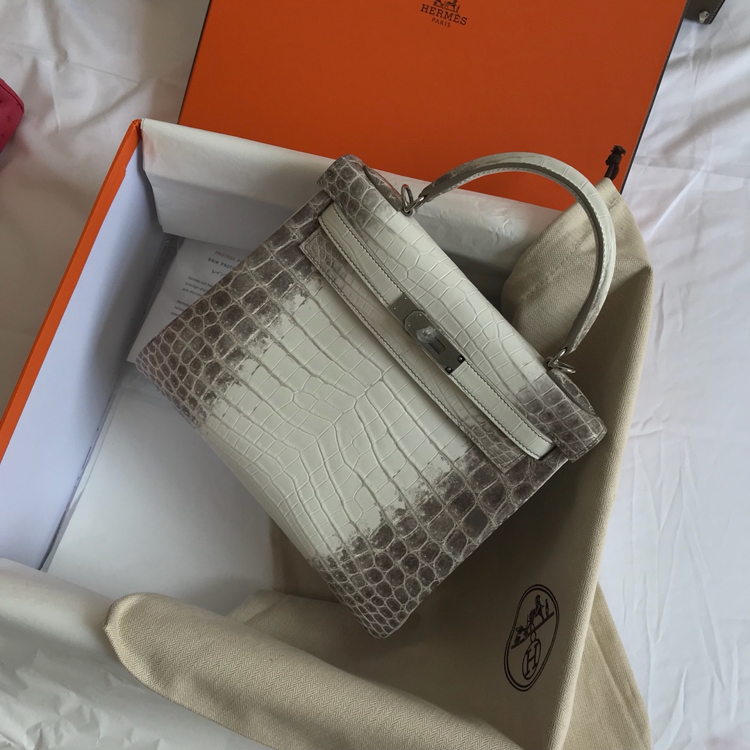 Hermès KELLY 25 handbag detail picture Himalaya silver buckle