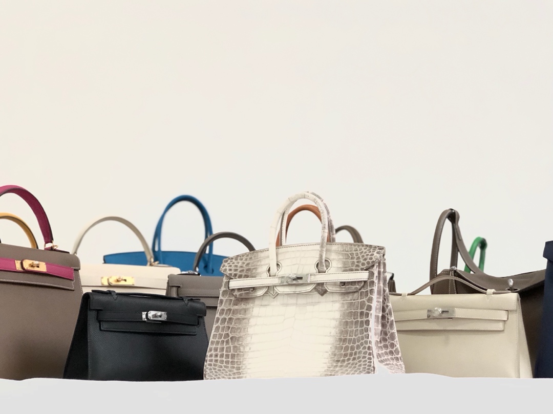 Hermès KELLY 25 handbag detail picture Himalaya silver buckle