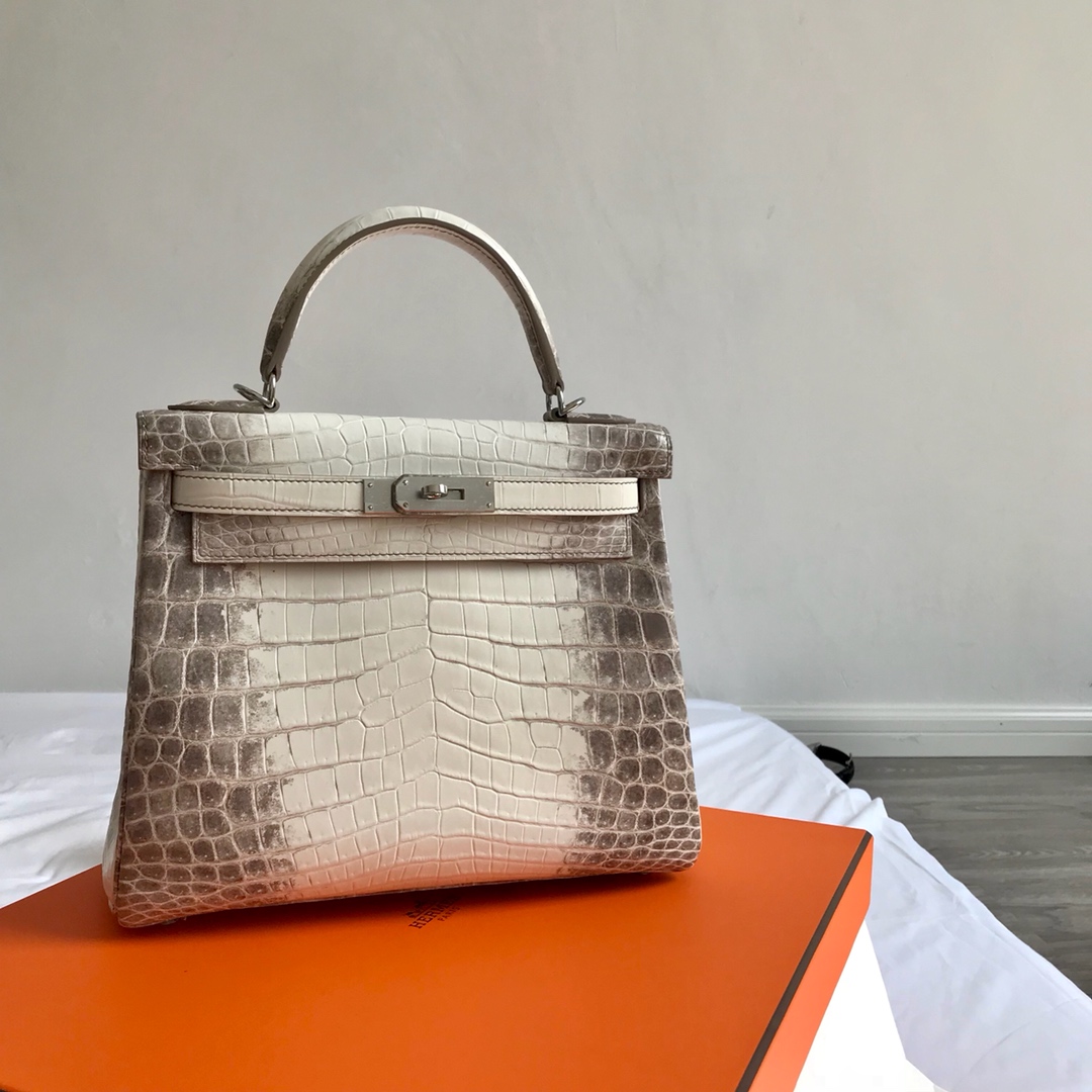 Hermès KELLY 25 handbag detail picture Himalaya silver buckle