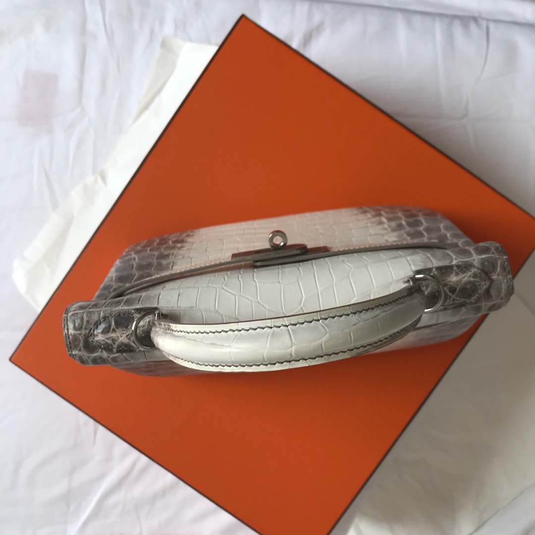 Hermès KELLY 25 handbag detail picture Himalaya silver buckle