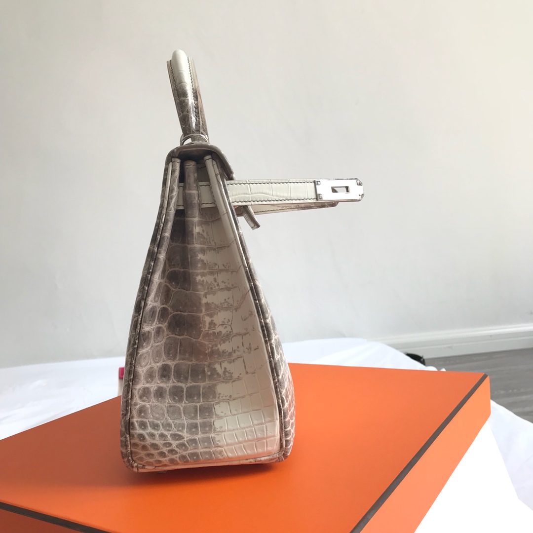 Hermès KELLY 25 handbag detail picture Himalaya silver buckle