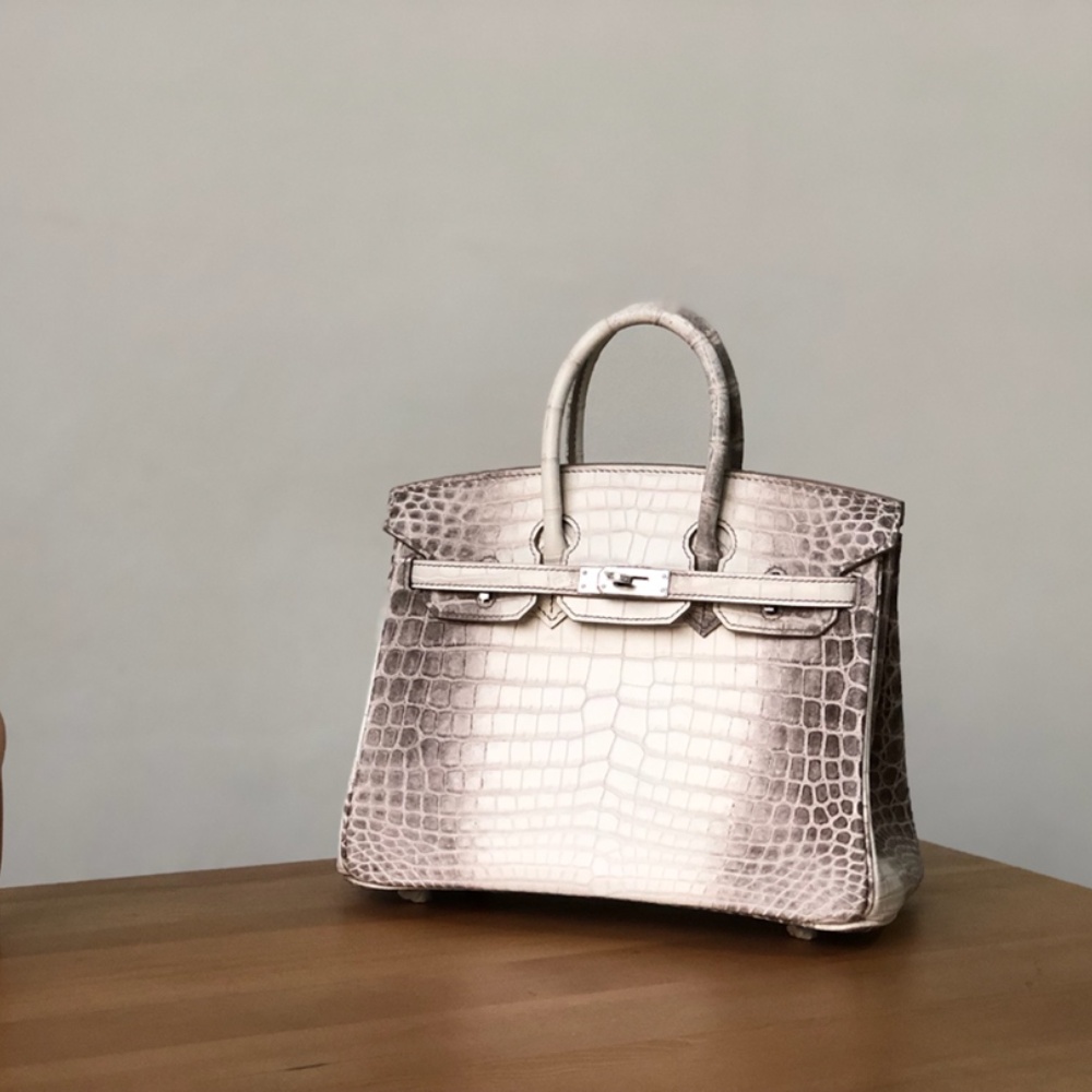 Hermès KELLY 25 handbag detail picture Himalaya silver buckle