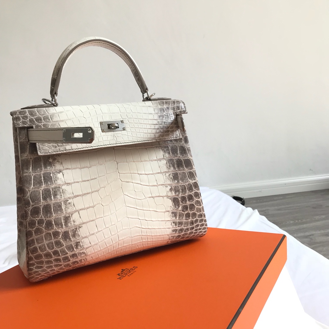 Hermès KELLY 25 handbag detail picture Himalaya silver buckle