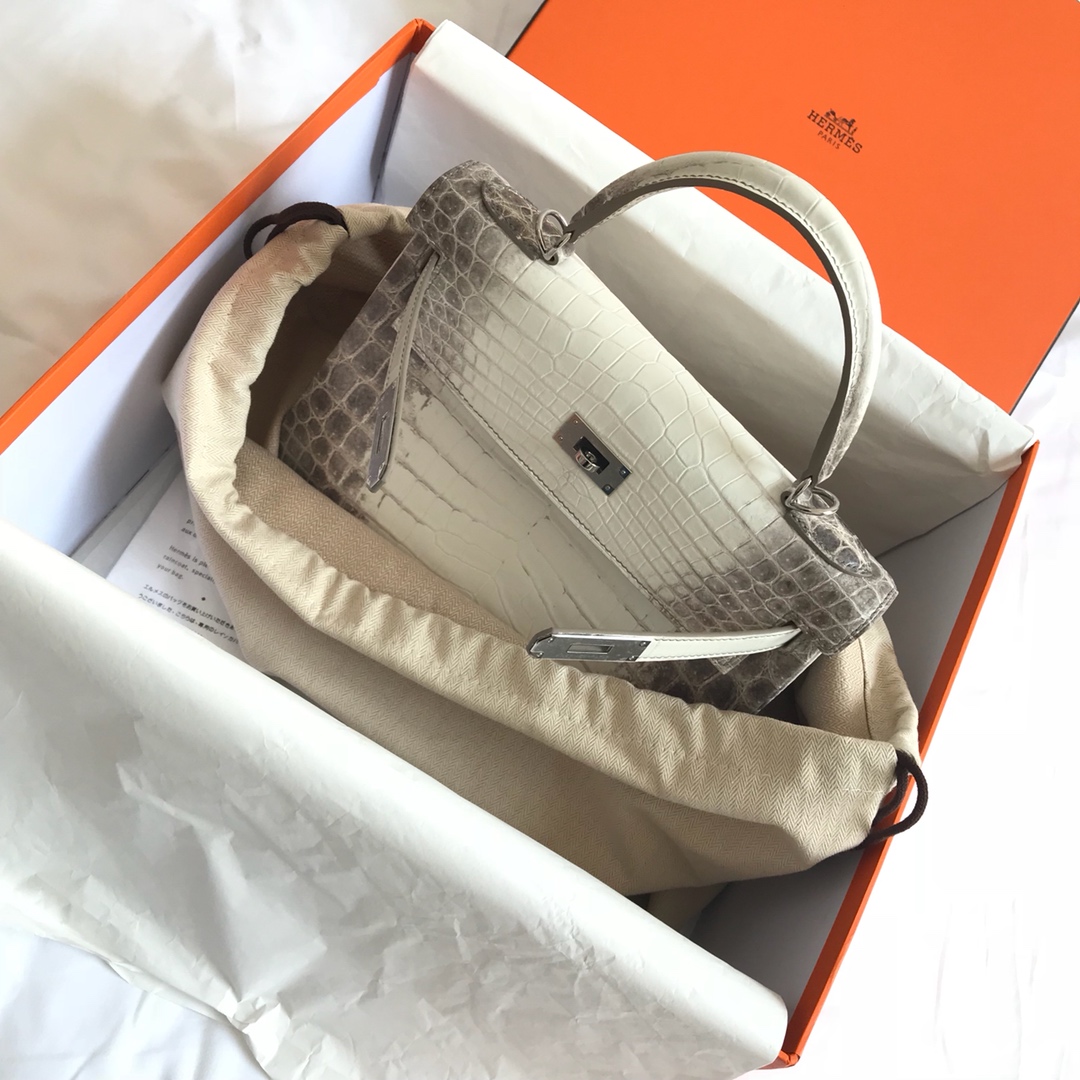 Hermès KELLY 25 handbag detail picture Himalaya silver buckle