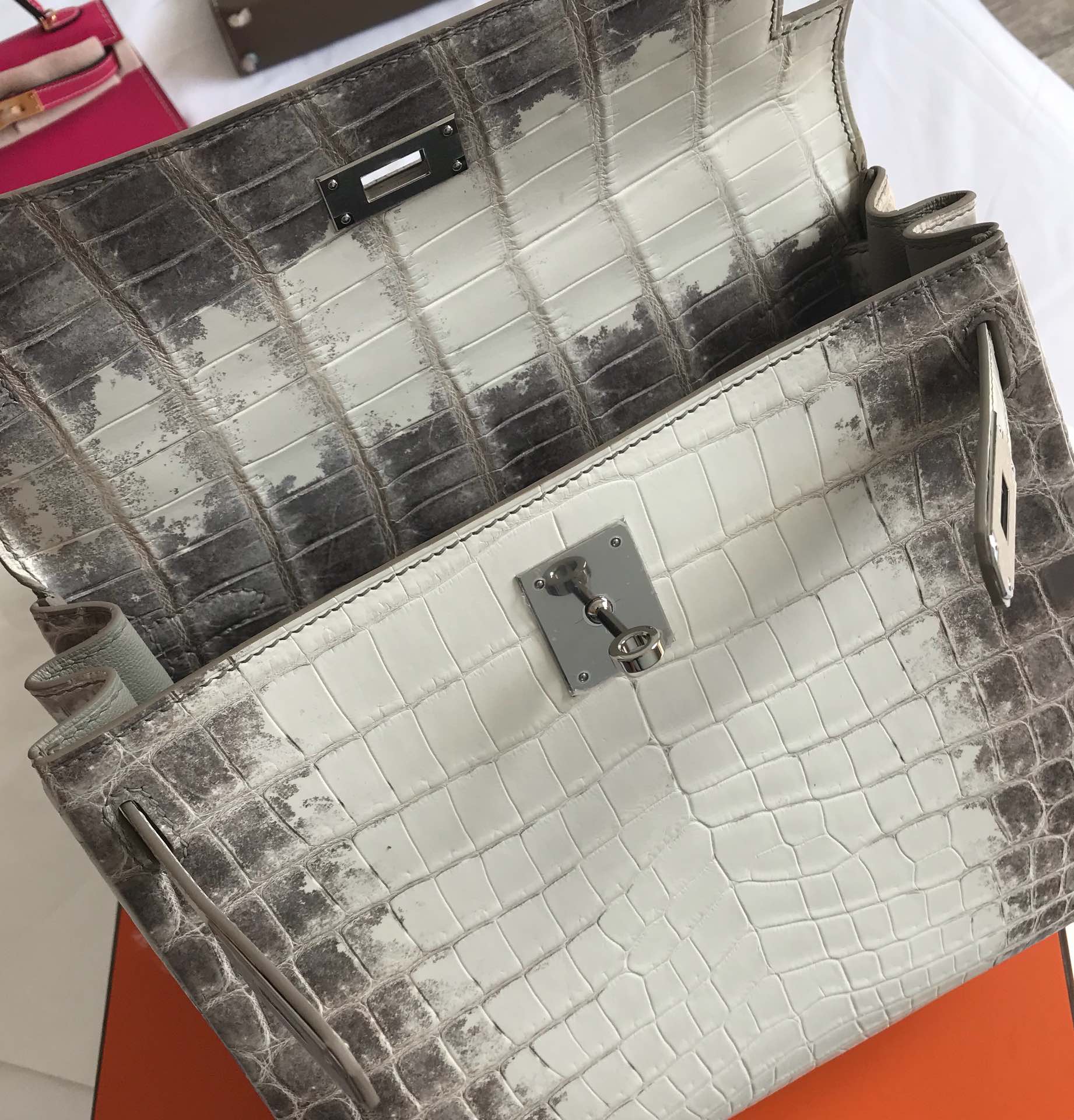 Hermès KELLY 25 handbag detail picture Himalaya silver buckle