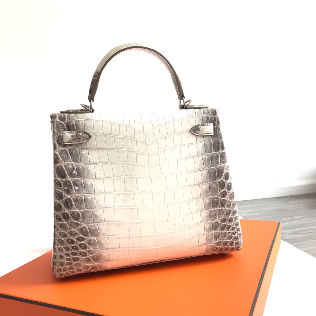 Hermès KELLY 25 handbag detail picture Himalaya silver buckle