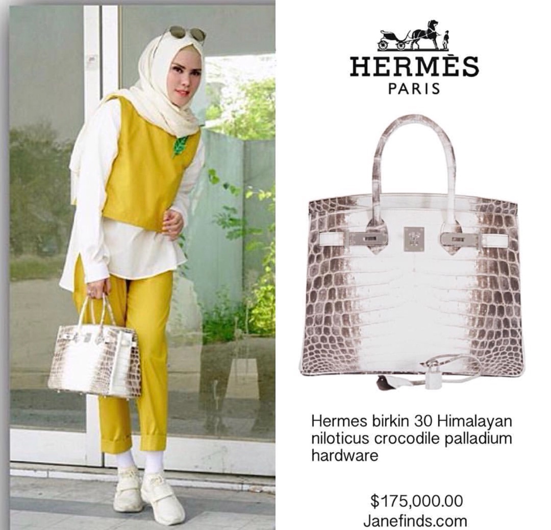 Hermès KELLY 25 handbag detail picture Himalaya silver buckle