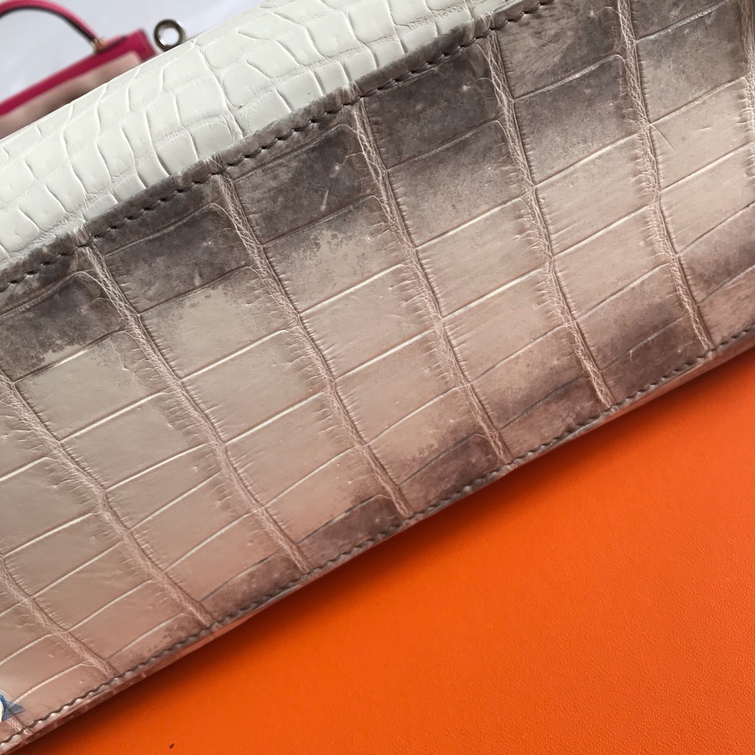 Hermès KELLY 25 handbag detail picture Himalaya silver buckle
