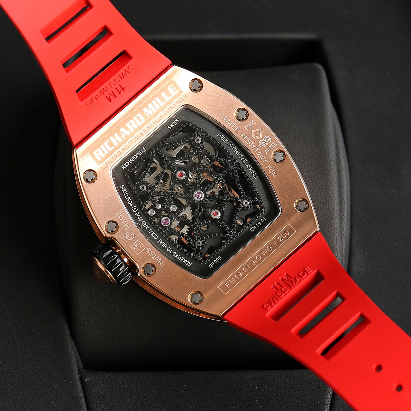 Richard Mille RM19-01 Tourbillon Series