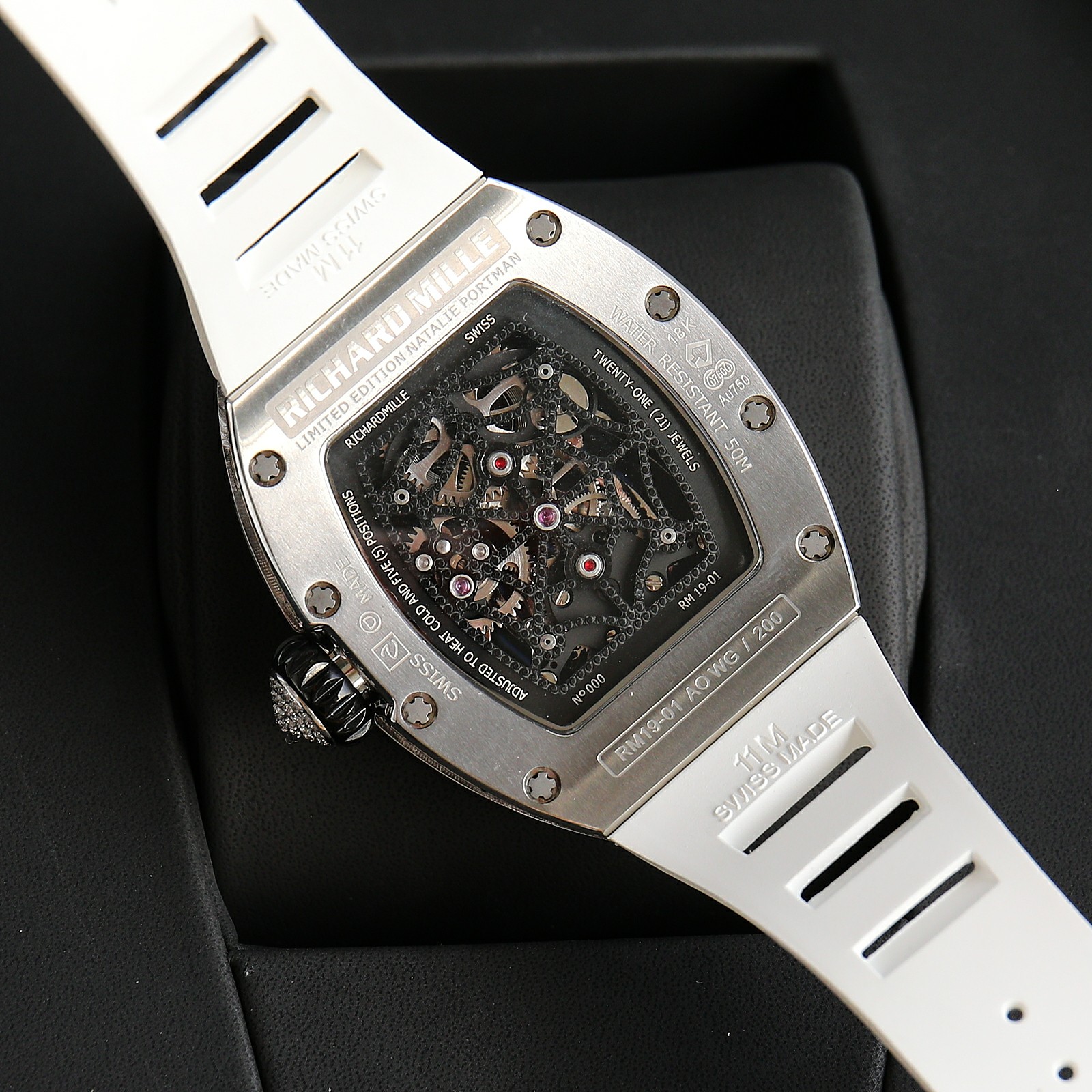 Richard Mille RM19-01 Tourbillon Series