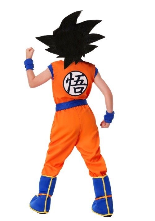 Boy's Dragon Ball Z Goku Costume