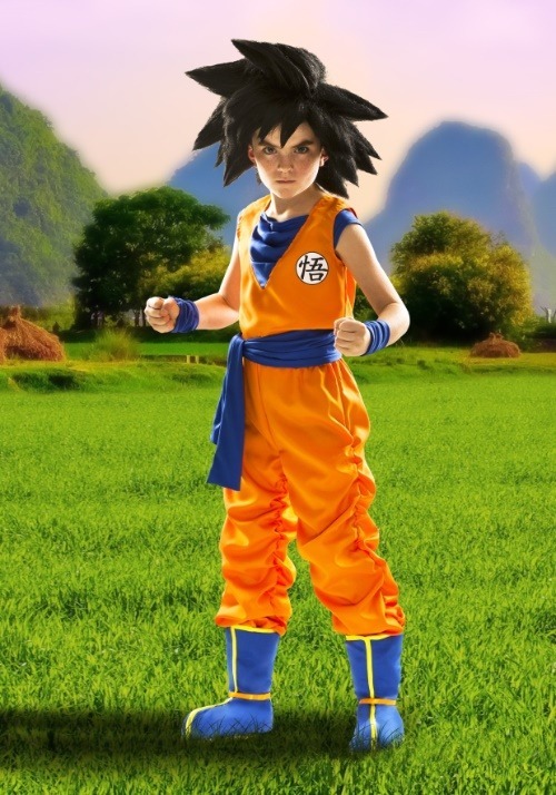 Boy's Dragon Ball Z Goku Costume