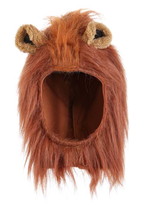 Deluxe Lion Costume for Kids