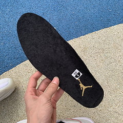 Air Jordan 11 Retro Platinum Tint