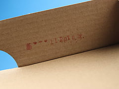 Nike Dunk Low Dusty Olive