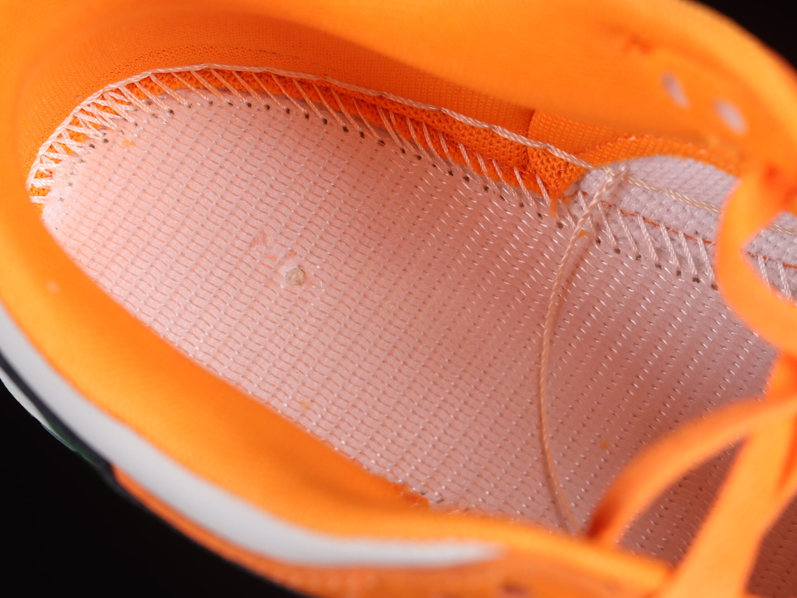 Nike Dunk Low Florida A&M University