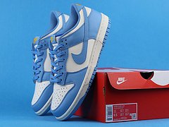 Nike Dunk Low Coast