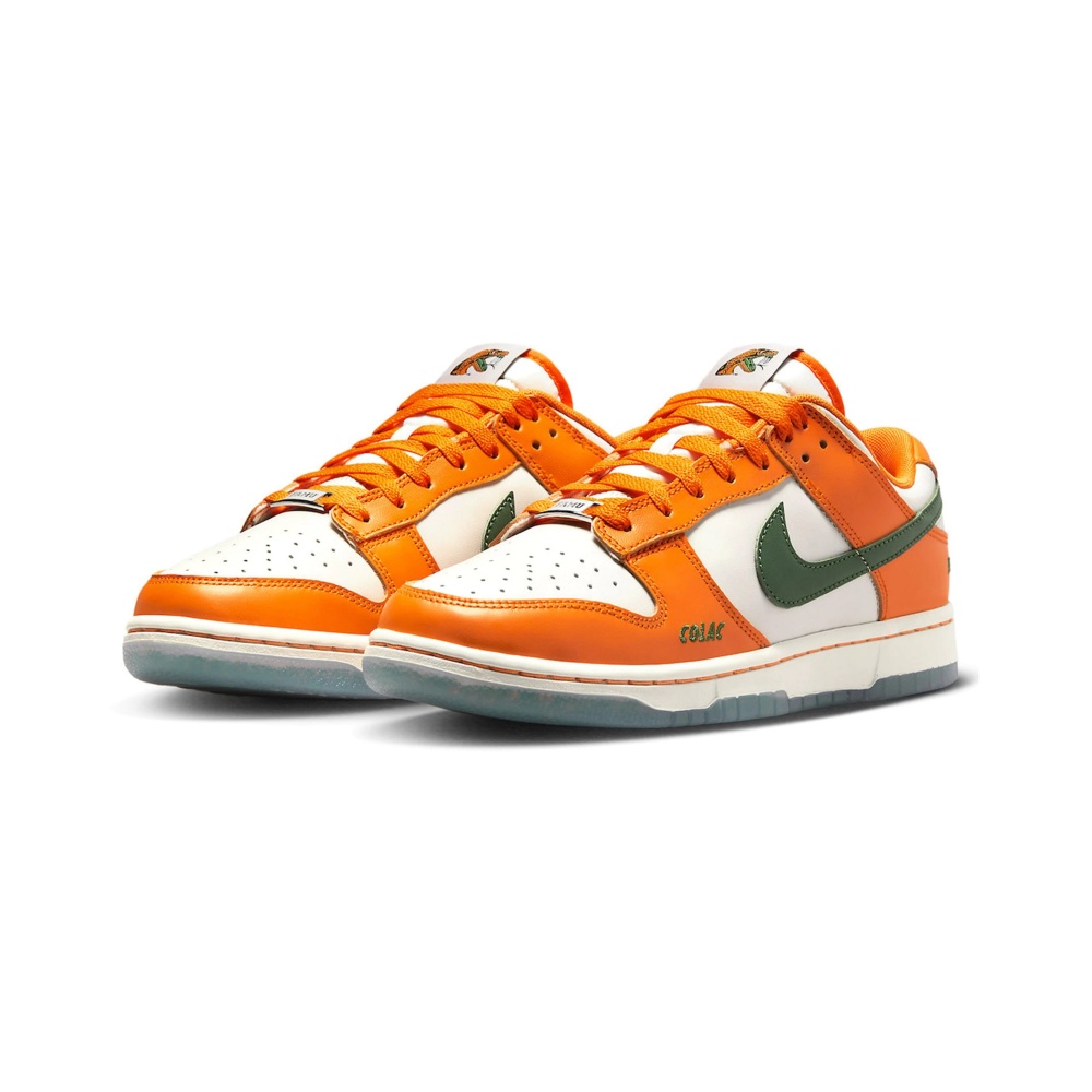 Nike Dunk Low Florida A&M University