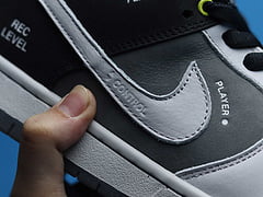 Nike SB Dunk Low VX1000