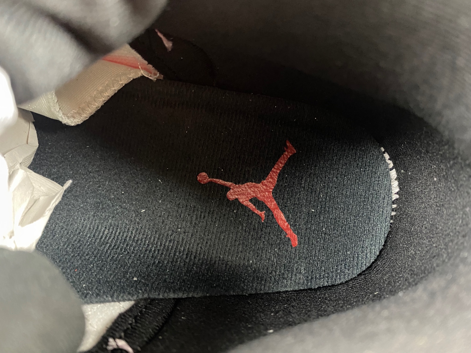 Air Jordan 12 Cherry