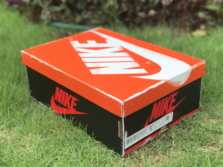 Air Jordan 1 High OG Chicago Lost and Found