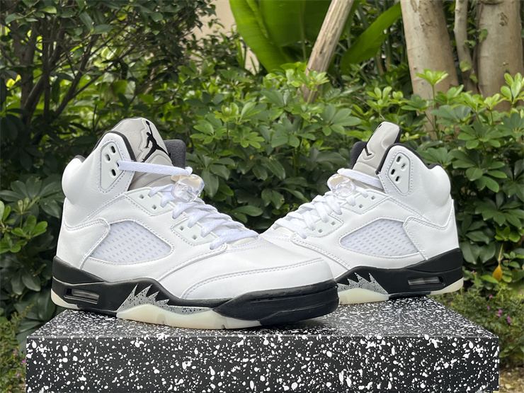 Air Jordan 5 reverse metallic