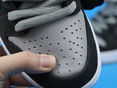 Nike SB Dunk Low J-Pack shadow