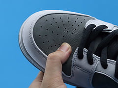 Nike SB Dunk Low VX1000