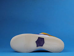 Nike SB Dunk Low Laser Orange