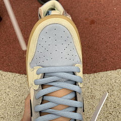 Nike SB Dunk High Spectrum