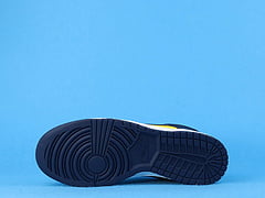 Nike Dunk Low Michigan (2021)