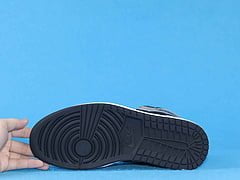 Jordan 1 Retro High Shadow (2018)