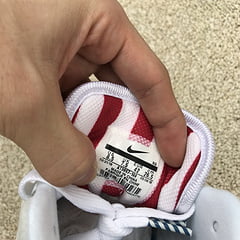 Nike Air Max 1 Parra